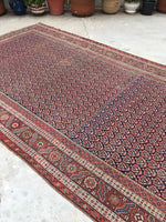 6' x 13'3 Antique Senneh Kurdish Rug / Runner - Blue Parakeet Rugs