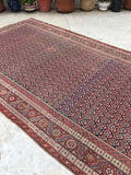 6' x 13'3 Antique Senneh Kurdish Rug / Runner - Blue Parakeet Rugs