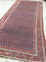 6' x 13'3 Antique Senneh Kurdish Rug / Runner - Blue Parakeet Rugs