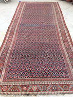 6' x 13'3 Antique Senneh Kurdish Rug / Runner - Blue Parakeet Rugs