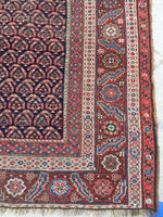 6' x 13'3 Antique Senneh Kurdish Rug / Runner - Blue Parakeet Rugs