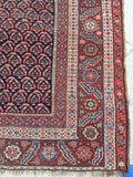 6' x 13'3 Antique Senneh Kurdish Rug / Runner - Blue Parakeet Rugs