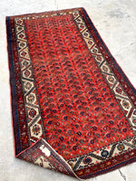 [vintage rugs] - Blue Parakeet Rugs