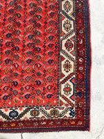 [vintage rugs] - Blue Parakeet Rugs