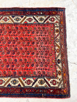 [vintage rugs] - Blue Parakeet Rugs