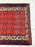 [vintage rugs] - Blue Parakeet Rugs