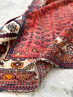 [vintage rugs] - Blue Parakeet Rugs