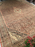 11'5 x 16'8 Persian Hamadan rug #1937 / oversize rug - Blue Parakeet Rugs