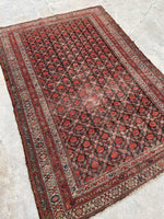 [vintage rugs] - Blue Parakeet Rugs