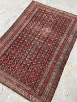 [vintage rugs] - Blue Parakeet Rugs
