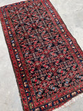 [vintage rugs] - Blue Parakeet Rugs