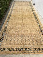 6'8 x 19'9 Antique 1930s fish design gallery size rug - Blue Parakeet Rugs