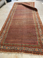 6’ x 13’9 Antique Gallery Size Persian Rug #2710 - Blue Parakeet Rugs