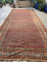 6’ x 13’9 Antique Gallery Size Persian Rug #2710 - Blue Parakeet Rugs