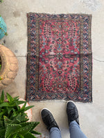 2 x 2’10 Floral 1920s scatter rug #2019 / 2x3 Vintage Rug - Blue Parakeet Rugs