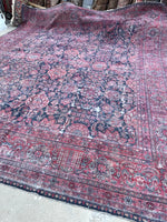 12' x 13' Antique Persian Kerman Lavar rug #2509 - Blue Parakeet Rugs