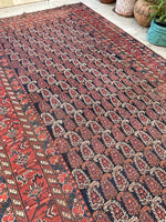 5'9 x 11'8 Antique Shiraz Rug #2352 - Blue Parakeet Rugs