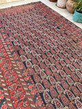 5'9 x 11'8 Antique Shiraz Rug #2352 - Blue Parakeet Rugs
