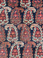 5'9 x 11'8 Antique Shiraz Rug #2352 - Blue Parakeet Rugs