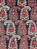 5'9 x 11'8 Antique Shiraz Rug #2352 - Blue Parakeet Rugs