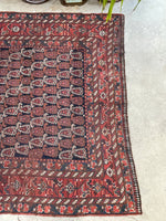 5'9 x 11'8 Antique Shiraz Rug #2352 - Blue Parakeet Rugs