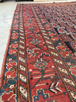 5'9 x 11'8 Antique Shiraz Rug #2352 - Blue Parakeet Rugs