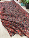 5'9 x 11'8 Antique Shiraz Rug #2352 - Blue Parakeet Rugs