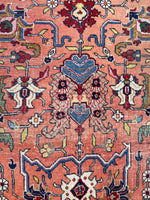 [vintage rugs] - Blue Parakeet Rugs