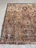 [vintage rugs] - Blue Parakeet Rugs