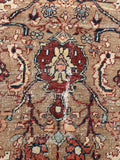 [vintage rugs] - Blue Parakeet Rugs