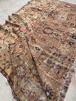 [vintage rugs] - Blue Parakeet Rugs
