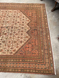 6'7 x 16'3 Long and Lean Antique Mahal rug #2202 / 7x16 Vintage Rug - Blue Parakeet Rugs