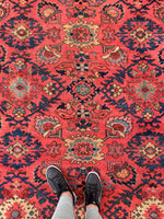 7'3 x 10'5 Antique watermelon ground Mahal village rug #2024 / 7x10 Vintage Rug - Blue Parakeet Rugs