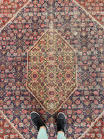 9'9 x 14'9 Antique oversize rug #2025 / 10x15 Vintage Rug - Blue Parakeet Rugs