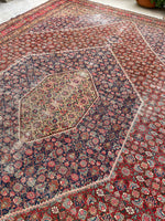 9'9 x 14'9 Antique oversize rug #2025 / 10x15 Vintage Rug - Blue Parakeet Rugs