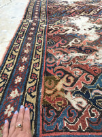 3'9 x 9'3 Persian Malayer Runner / Rug Runner / Vintage Runner (#664) - Blue Parakeet Rugs