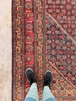 9'9 x 14'9 Antique oversize rug #2025 / 10x15 Vintage Rug - Blue Parakeet Rugs