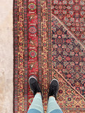 9'9 x 14'9 Antique oversize rug #2025 / 10x15 Vintage Rug - Blue Parakeet Rugs