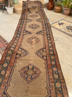 3'10 X 16'9 Antique & Worn Camel Hair Runner #1854 / 4x17 Vintage Runner - Blue Parakeet Rugs