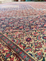 9'9 x 14'9 Antique oversize rug #2025 / 10x15 Vintage Rug - Blue Parakeet Rugs