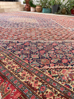 9'9 x 14'9 Antique oversize rug #2025 / 10x15 Vintage Rug - Blue Parakeet Rugs