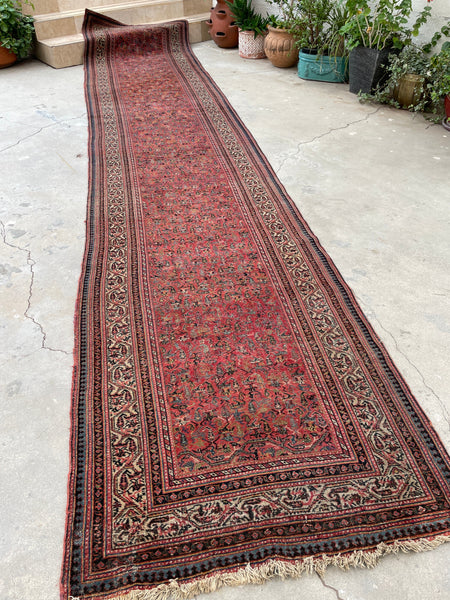 3'6 x 16'6 Antique and long Seraband runner #2020 / 4x17 Vintage runner - Blue Parakeet Rugs