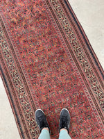 3'6 x 16'6 Antique and long Seraband runner #2020 / 4x17 Vintage runner - Blue Parakeet Rugs