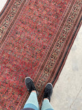 3'6 x 16'6 Antique and long Seraband runner #2020 / 4x17 Vintage runner - Blue Parakeet Rugs