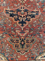 8'10 x 11'10 Antique Ferahan Sarouk rug #2206 / 9x12 Vintage Rug - Blue Parakeet Rugs