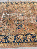 [vintage rugs] - Blue Parakeet Rugs