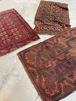 3'1 X 4'9 Antique nomadic Baluchi Rug #1863 / 3x5 Vintage Rug - Blue Parakeet Rugs