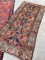 [vintage rugs] - Blue Parakeet Rugs