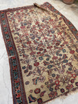 [vintage rugs] - Blue Parakeet Rugs