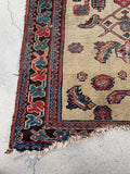 [vintage rugs] - Blue Parakeet Rugs